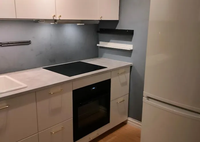 In The Middle Of The City, Garden And Parking! Leilighet *